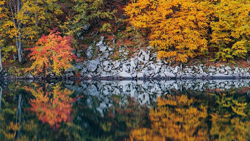 نکات و ترفندهای عکاسی پاییزی که باید بدانید