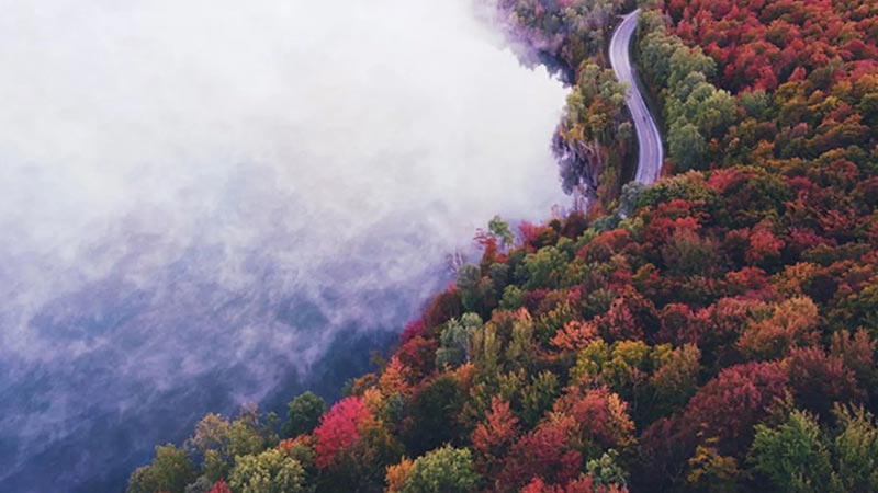 نکات و ترفندهای عکاسی پاییزی که باید بدانید