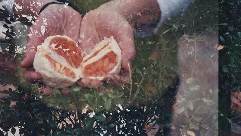 نکات و ترفندهای عکاسی پاییزی که باید بدانید