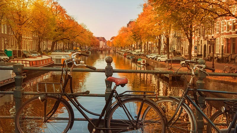 عشق به پاییز؛ کاوشی عمیق از دیدگاه روانشناسی که چرا پاییز را دوست داریم