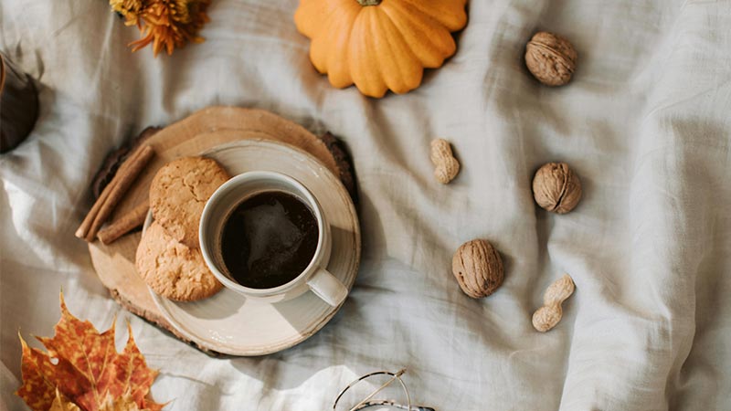 عشق به پاییز؛ کاوشی عمیق از دیدگاه روانشناسی که چرا پاییز را دوست داریم