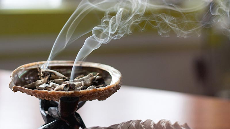 کدام اسماجها برای سوزاندن در پاییز مناسبند؟