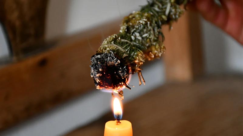 کدام اسماجها برای سوزاندن در پاییز مناسبند؟