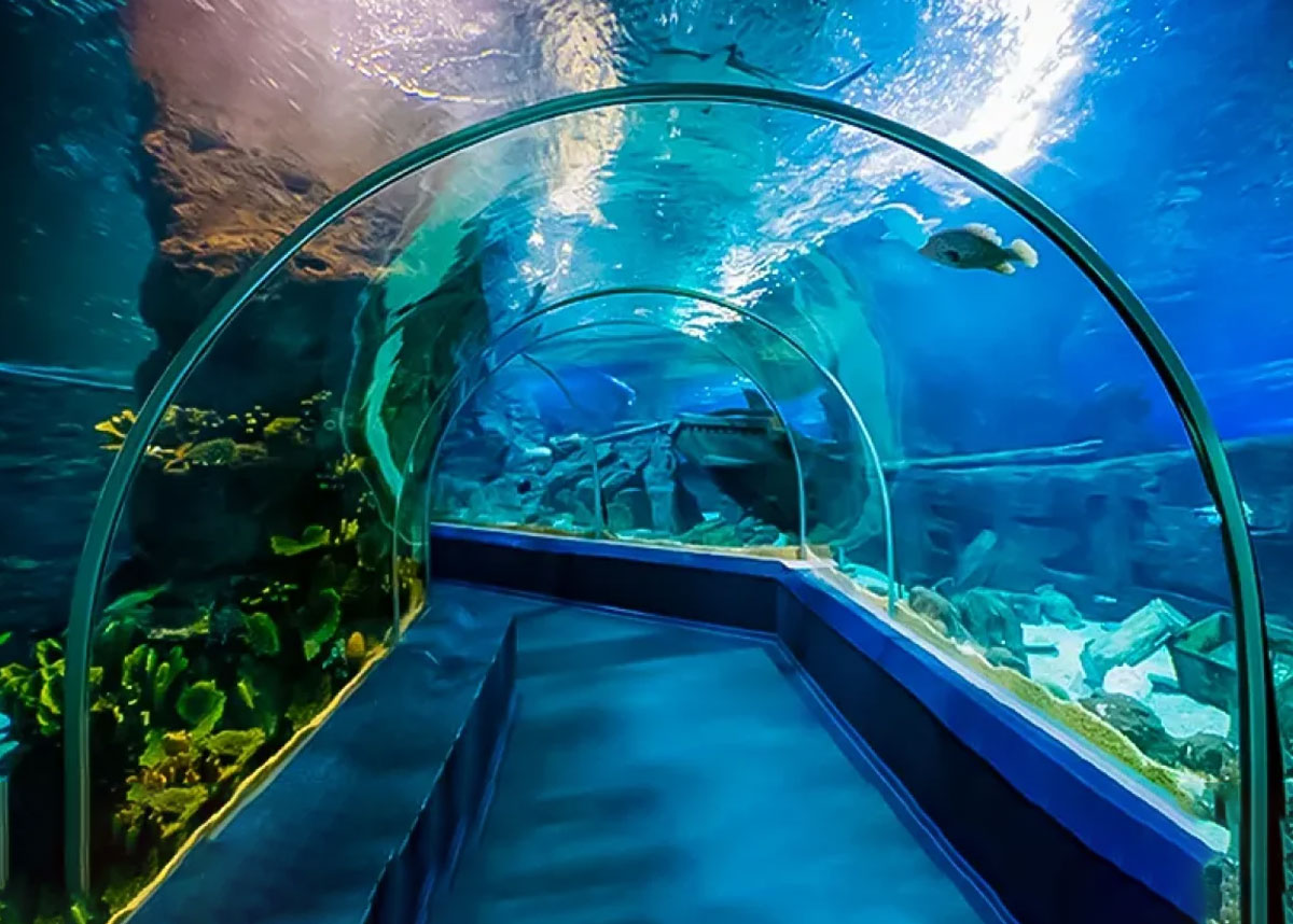 آکواریوم کیش