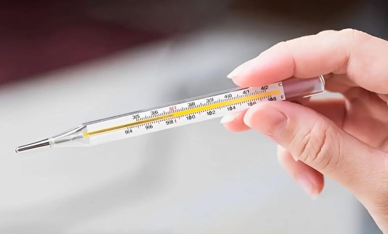 سد دفاعی دمای بدن ۳۷ درجه؛ تنها دلیلی که ما هنوز خوراک قارچ‌ها نشده‌ایم