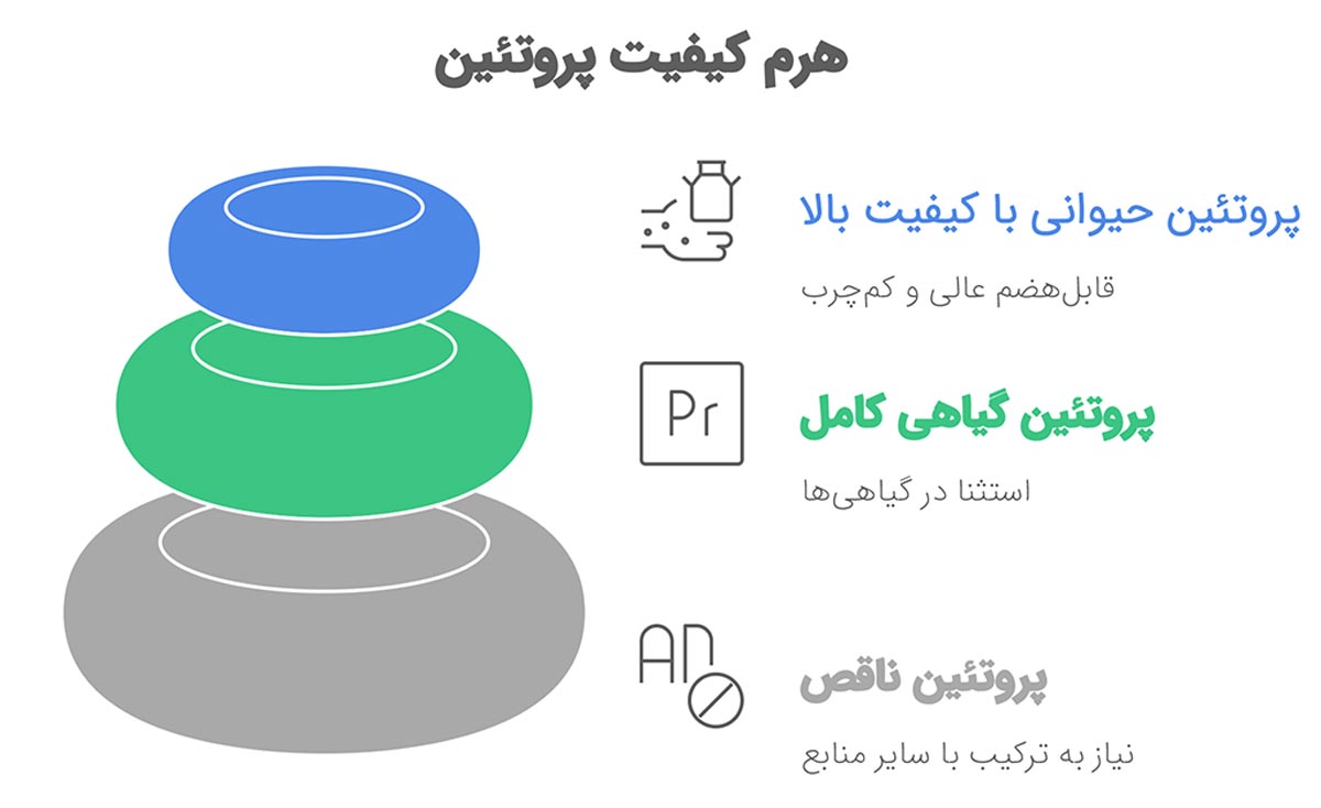 تفاوت اصلی پروتئین گوشت و سبزیجات