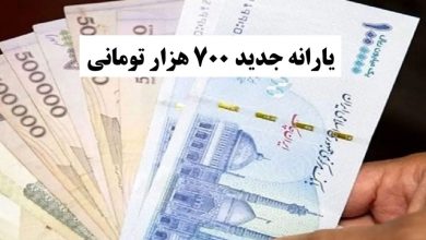 یارانه ۷۰۰ هزار تومانی در راه است؛ چه افرادی مشمول حمایت جدید دولت میشوند؟