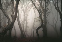 بیوفوبیا چیست؟