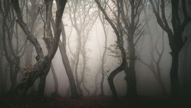 بیوفوبیا چیست؟