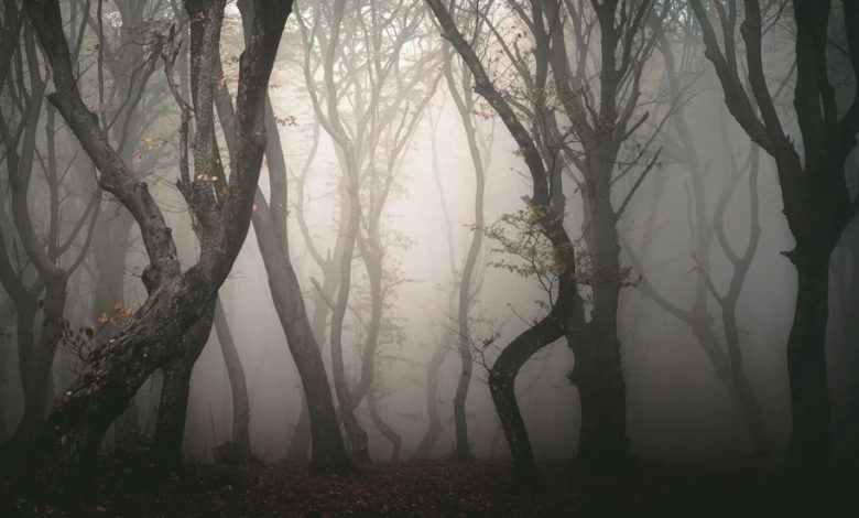 بیوفوبیا چیست؟