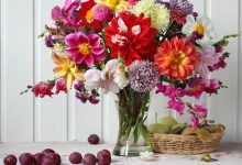 آموزش برای نگهداری شاخه گل بریده