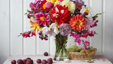 آموزش برای نگهداری شاخه گل بریده