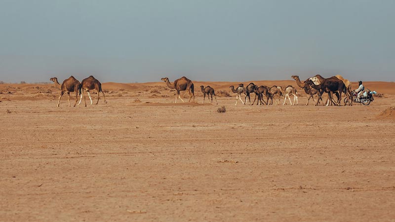 وسایل مورد نیاز سفر به کویر