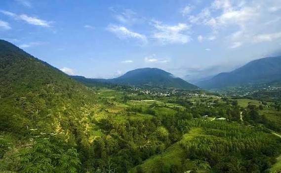 جنگل کجور؛ قلب تپنده کوهستان نوشهر