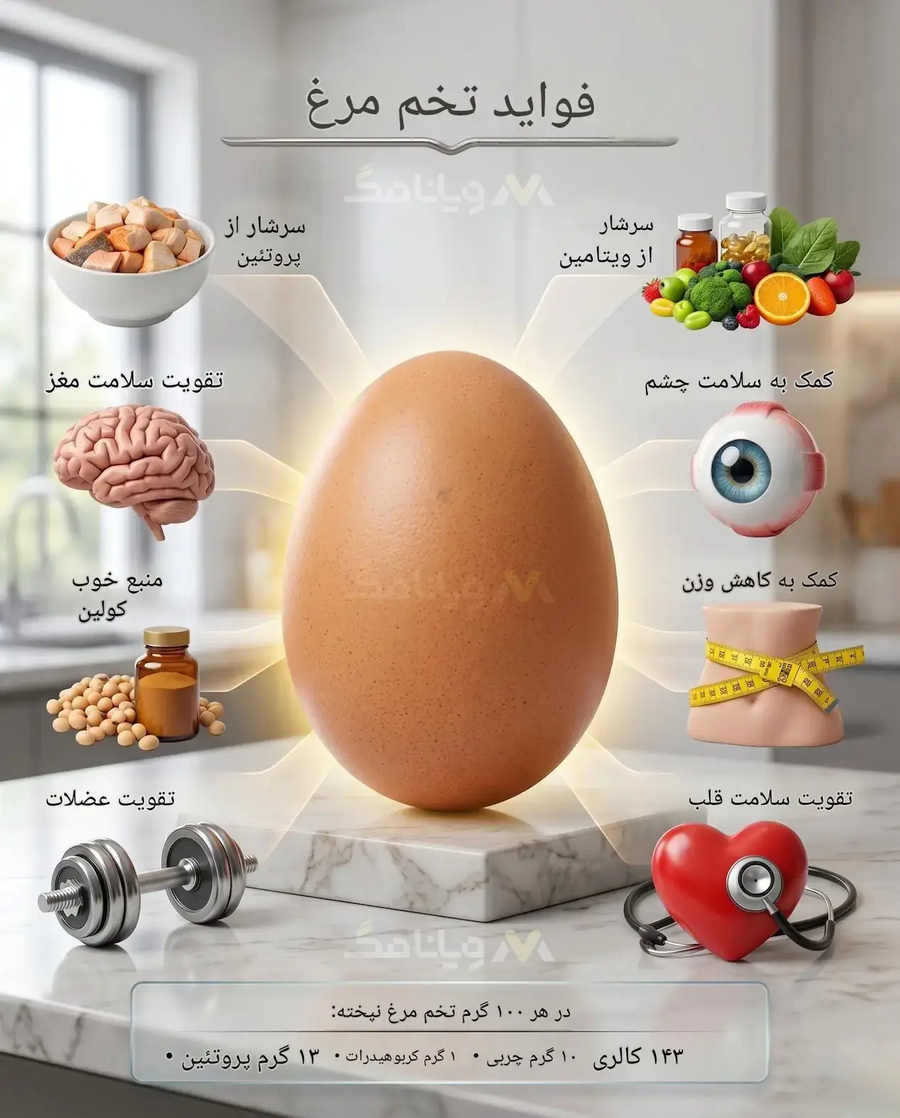 فواید تخم مرغ