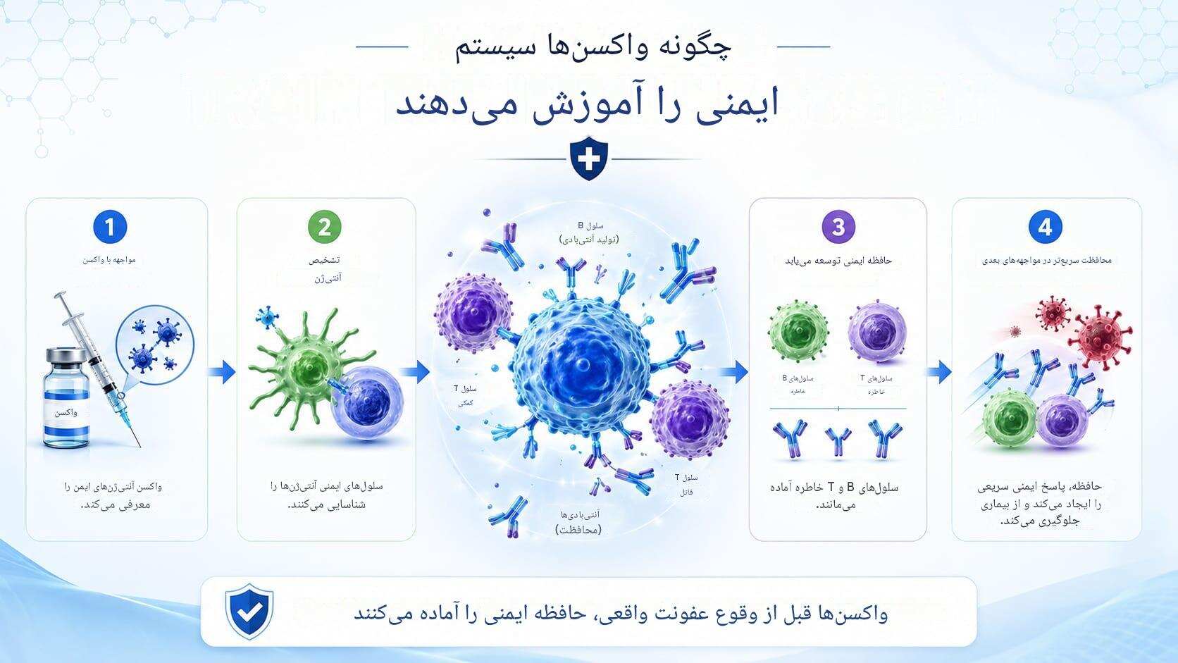 واکسن چگونه سیستم ایمنی را آموزش میدهد؟